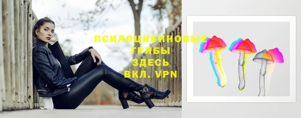 ГАЛЛЮЦИНОГЕННЫЕ ГРИБЫ Беломорск