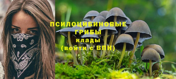 спиды Белоозёрский