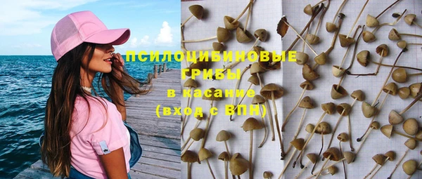 стаф Белокуриха