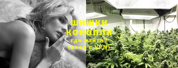 стаф Белокуриха