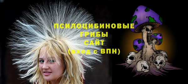 ГАЛЛЮЦИНОГЕННЫЕ ГРИБЫ Беломорск