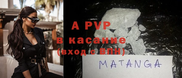 стаф Белокуриха