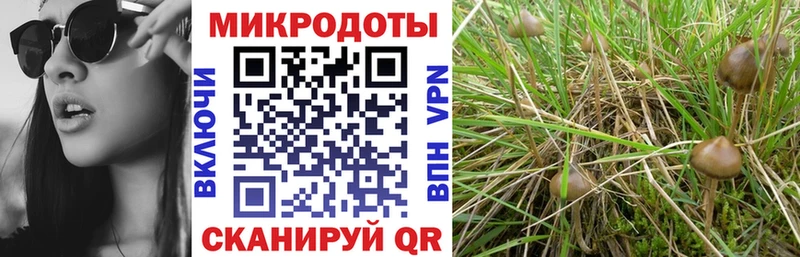 Псилоцибиновые грибы MAGIC MUSHROOMS  Облучье 